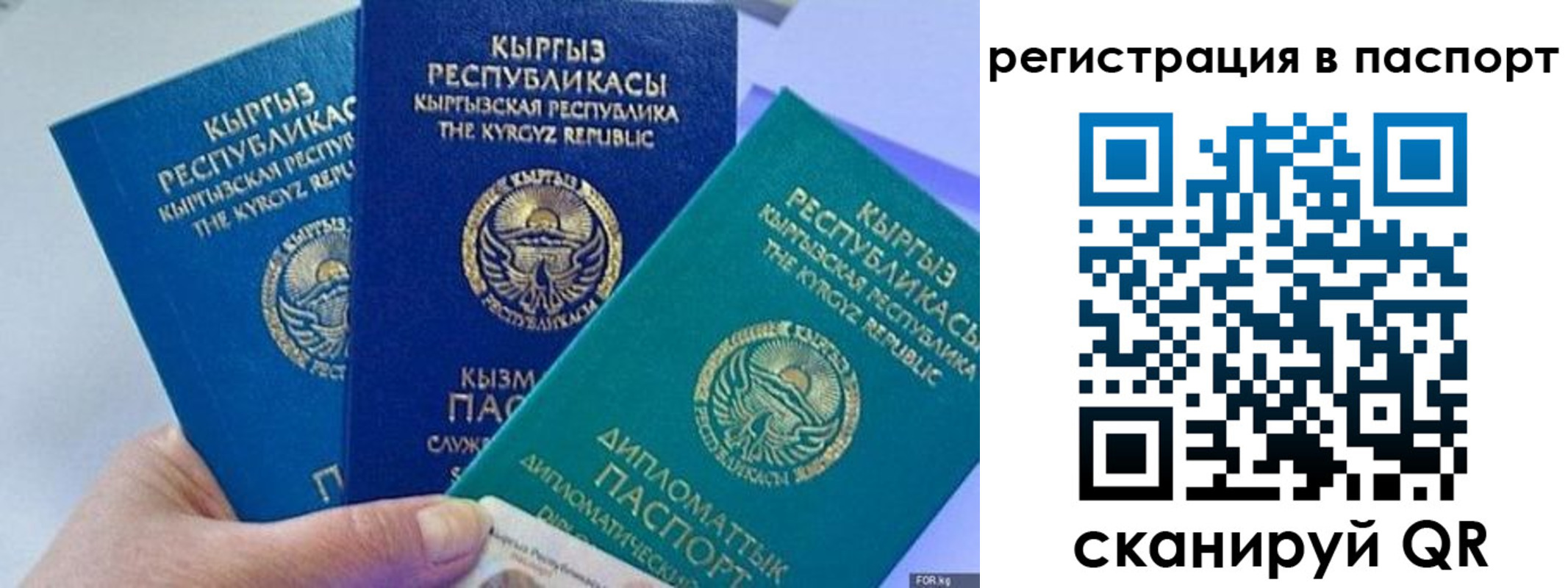 прописка 2025 в Россоши